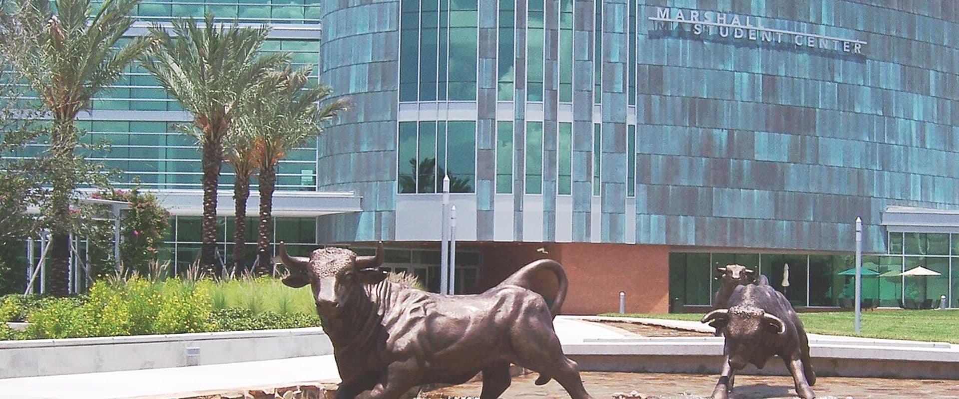 University of South Florida