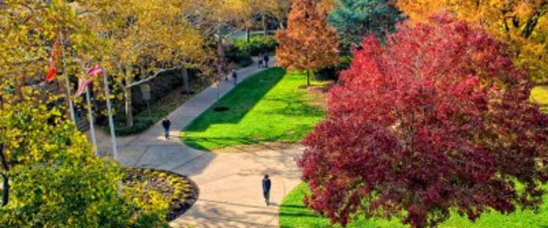 Rutgers University-Camden