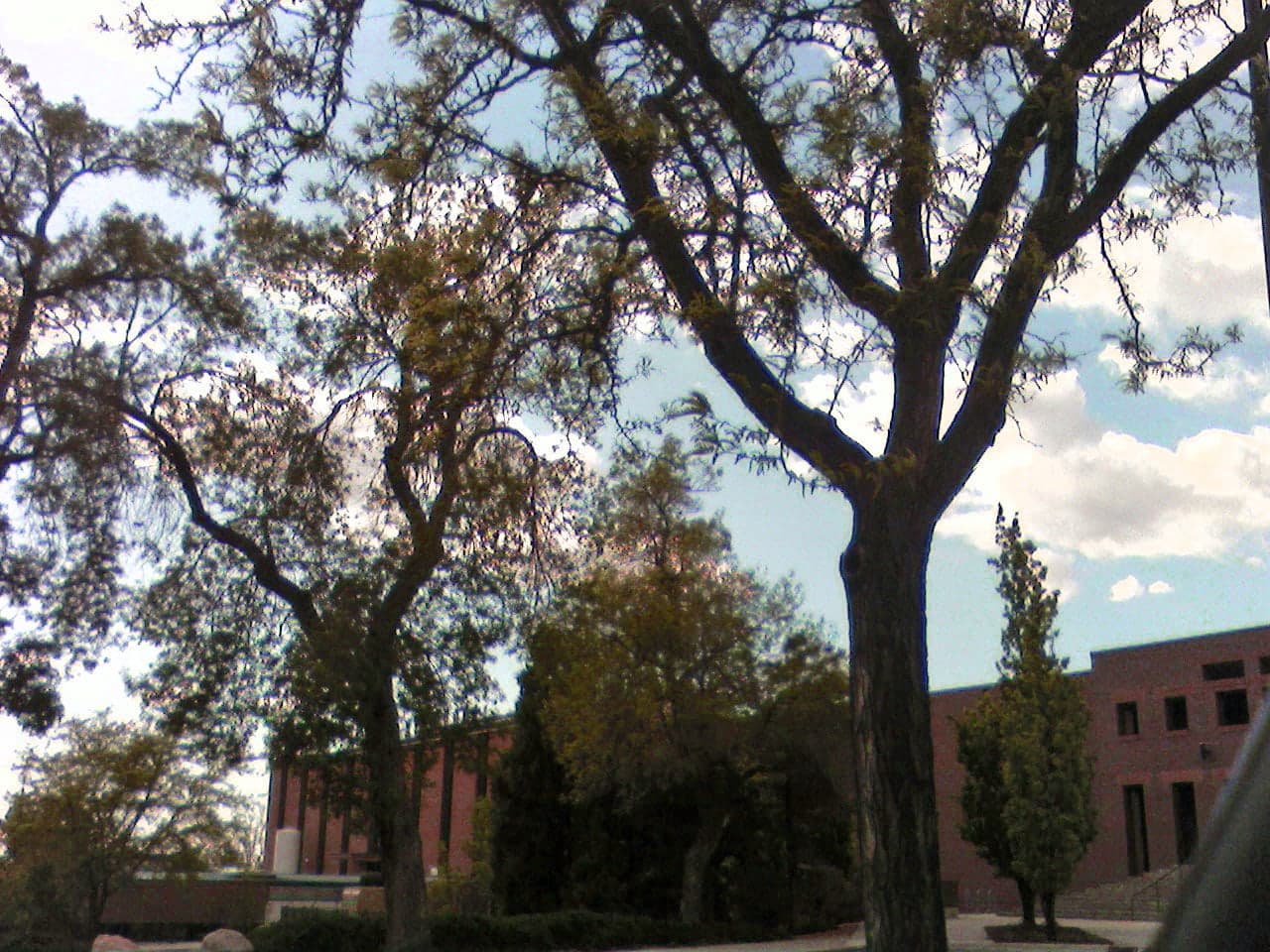 University of Utah