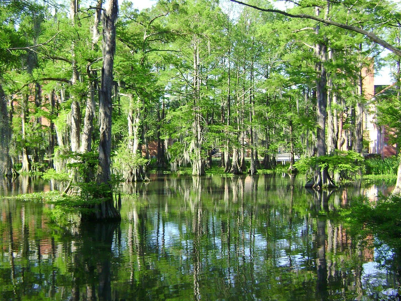 University of Louisiana at Lafayette