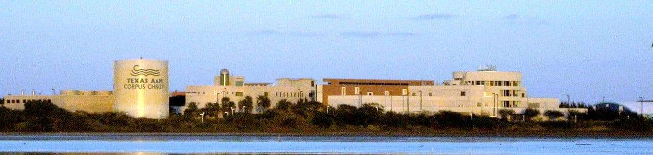 Texas A&M University-Corpus Christi