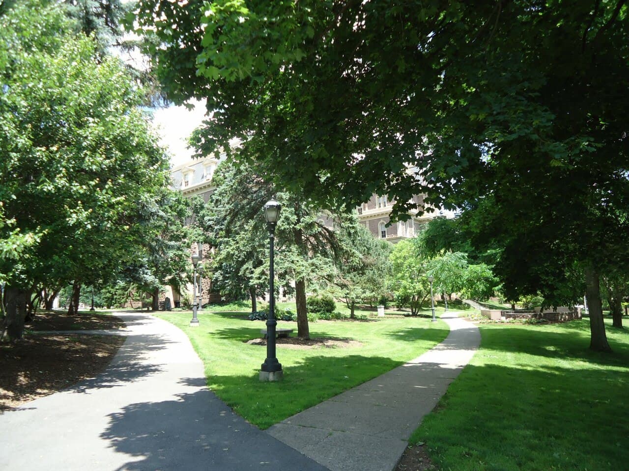 Lafayette College