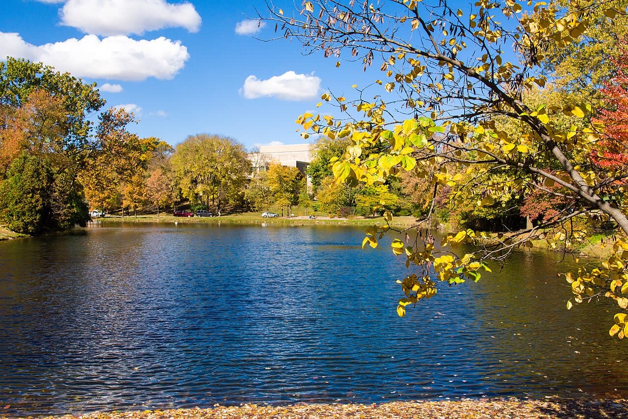 Iowa State University