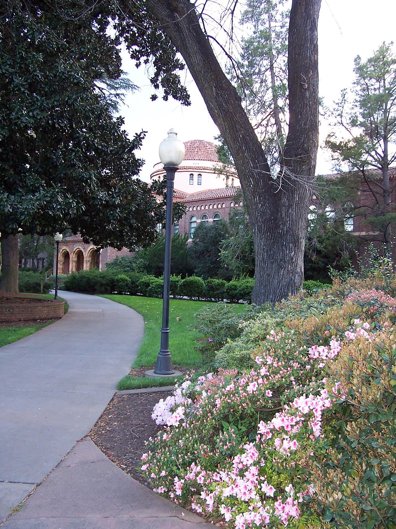 California State University Chico