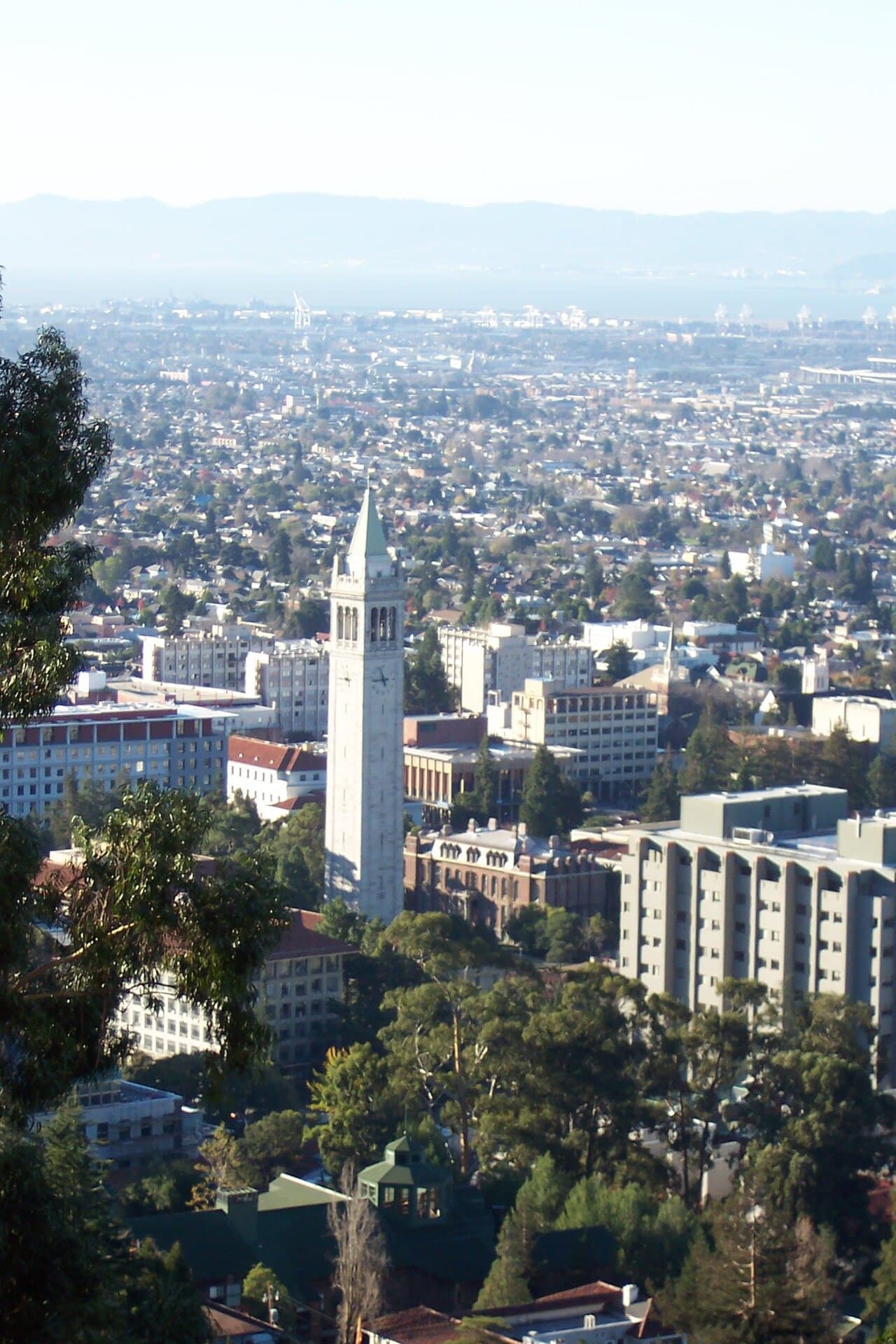 University of California Berkeley