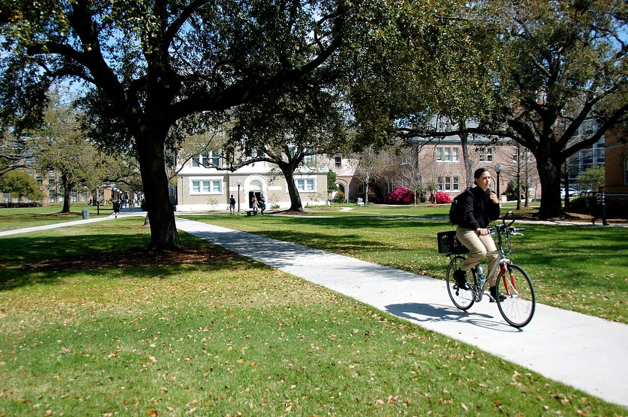 Rider University