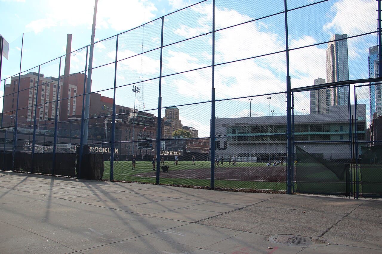 Long Island University