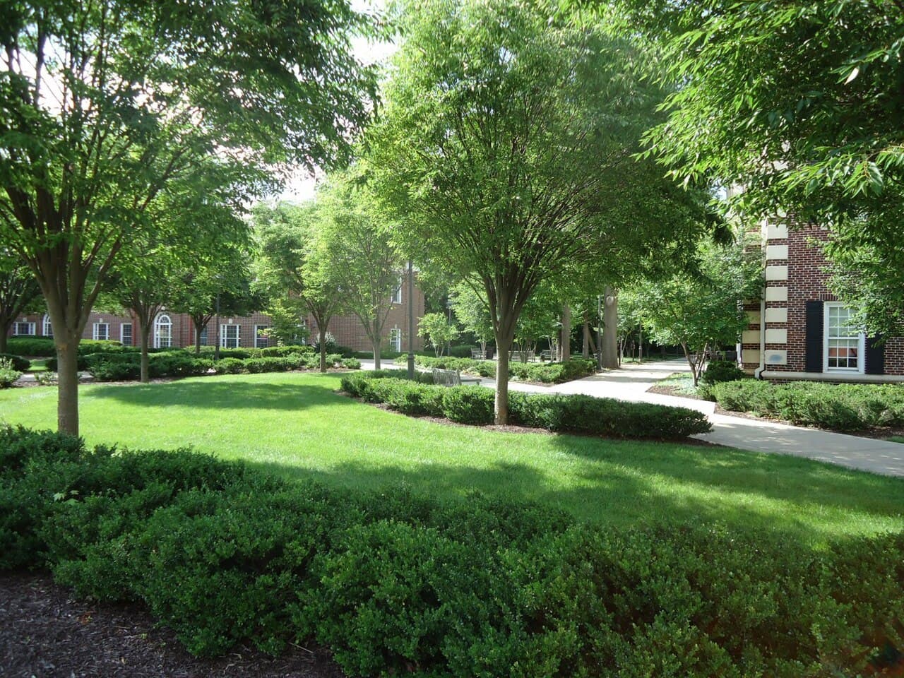 The College of New Jersey