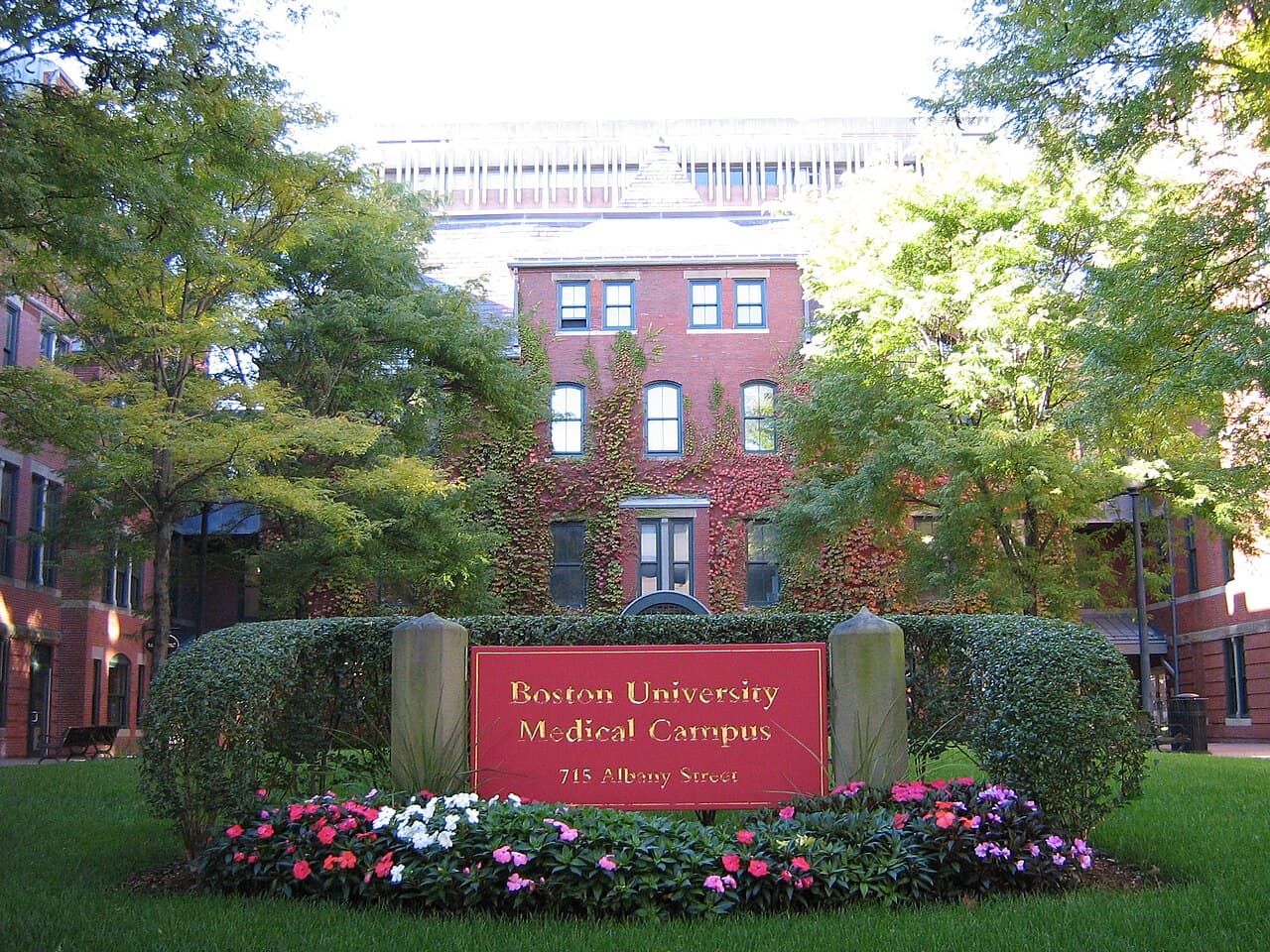Boston University