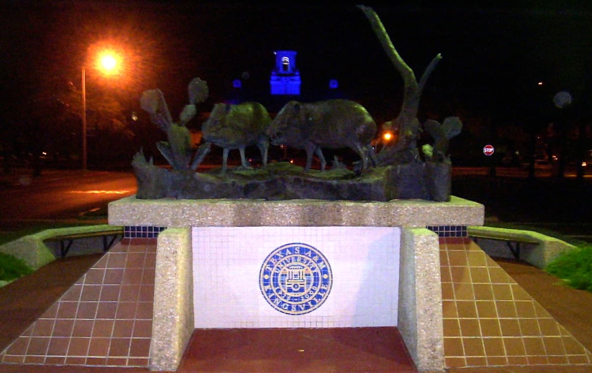 Texas A&M University-Kingsville