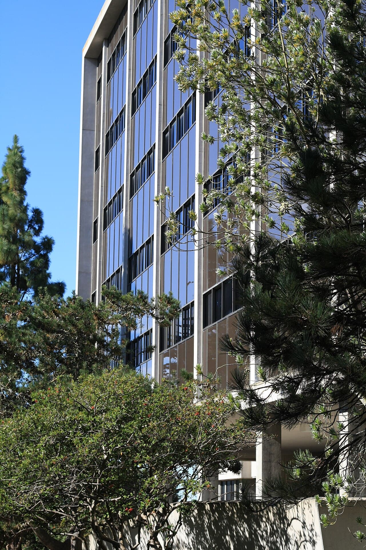 San Francisco State University