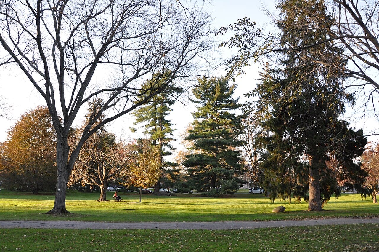 Vassar College