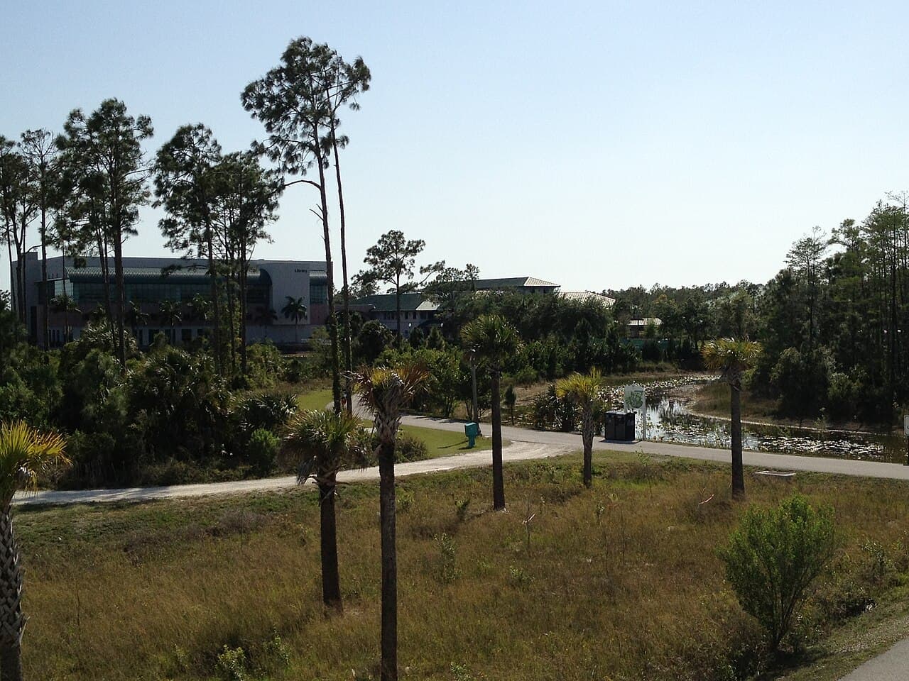 Florida Gulf Coast University